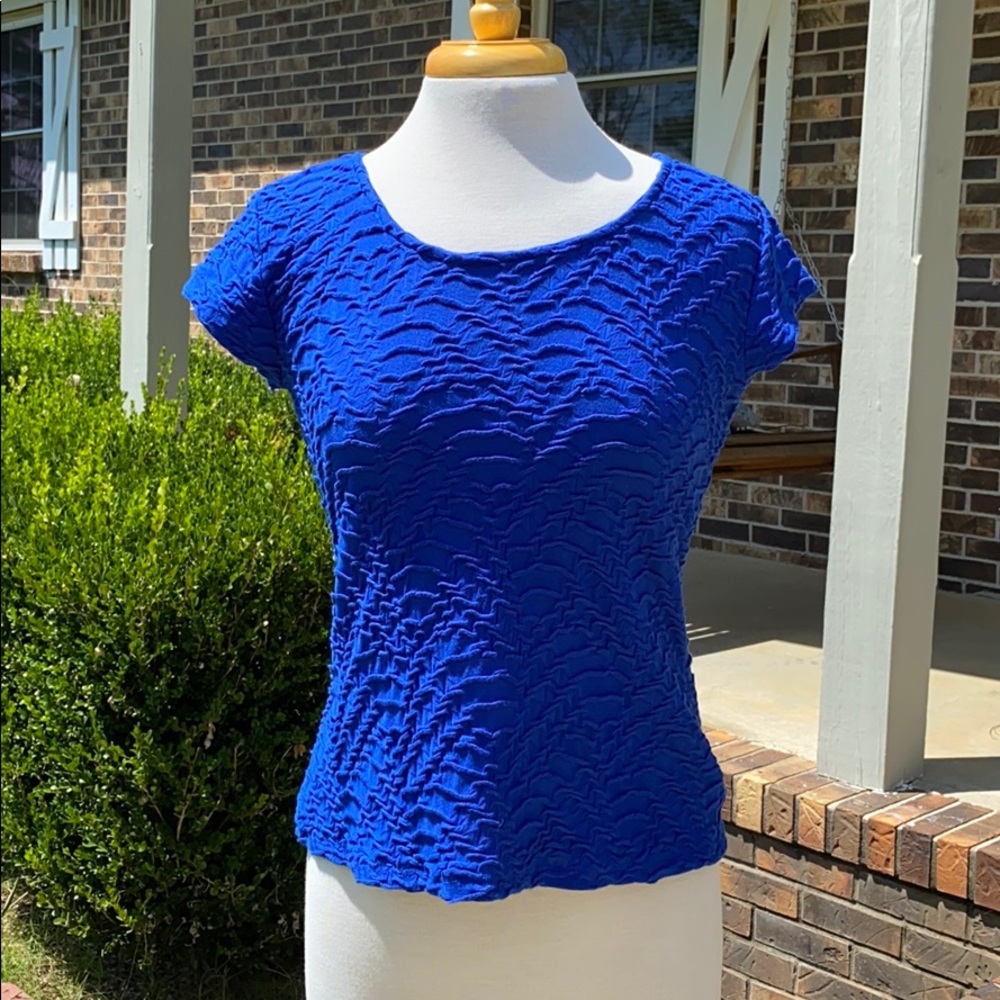 Liz Claiborne Blue Top. Short Sleeve